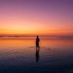 Potentiel Illimité Transcendant ⋅ "Libère ton Potentiel, Révèle ta Force intérieure, Transforme ta Vie" ⋅ Formations en ligne, Coaching, Thérapie - https://potentielillimite.net - Photo : ©Leolo212@pixabay