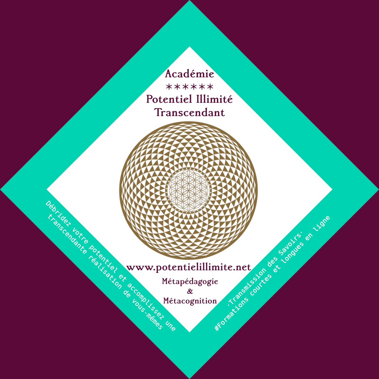 Logo Site de Formation en ligne : L'ACADÉMIE POTENTIEL ILLIMITÉ TRANSCENDANT - "Débridez votre potentiel et accomplissez une réalisation transcendante de vous-même." avec nos formations dont l'ingénierie est fondée sur la Métacognition et la Métapédagogie - https://potentielillimite.net -