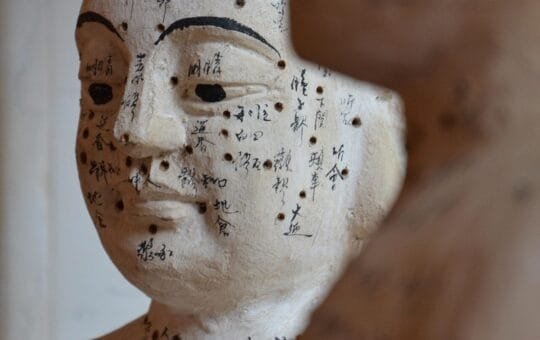 Équilibre Méridiens Cœur-Intestin Grêle | 6 Équilibres de Méridiens - Aikitaisō & Shiatsu Zen pour Libérer et Unifier Corps et Esprit - Formation en 6 modules indépendants - potentiellimite.net