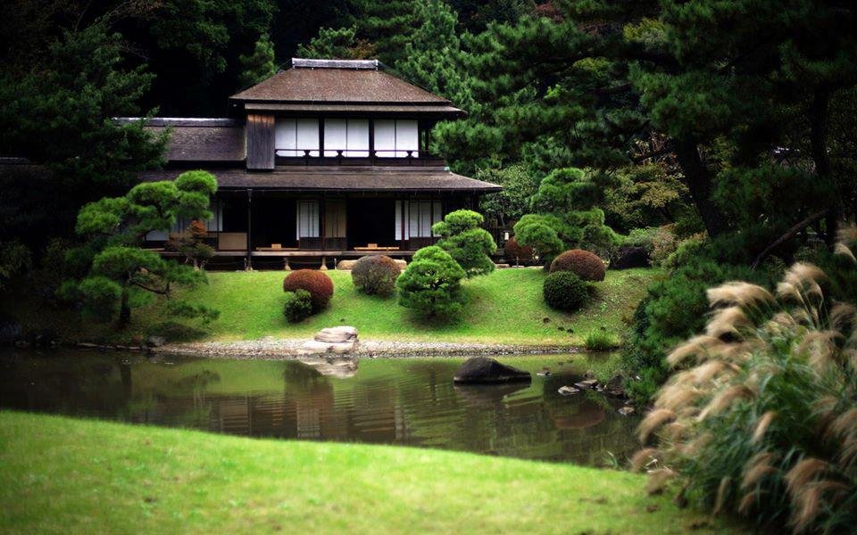 Conseil & Design de Jardins Japonais et Zen ; Potagers en Permaculture et Électro-culture ; Projets d'Aménagement ou de Construction — Extensions des Services de Géobiologie des 6 Éléments "Rokudai Wagō" ; un des piliers du Suishō Reikidō®, "Voie de l'Énergie vitale et des Cristaux" : https://potentielillimite.net (Vente de Prestations : Thérapie, Géobiologie, Coaching et Formation) - https://suishoreikido/org (Dōjō)
