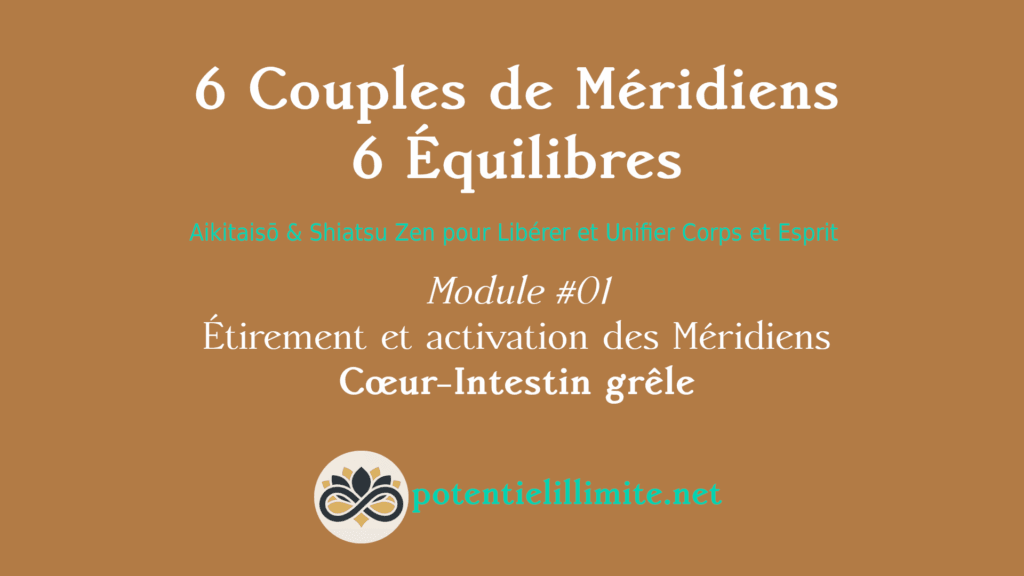 6 Couples de Méridiens, 6 Équilibres - Mod.01 - Aikitaisō & Shiatsu Zen pour Libérer Corps et Esprit - Programme de Formation L’Académie - potentielillimite.net