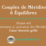 6 Couples de Méridiens, 6 Équilibres - Mod.01 - Aikitaisō & Shiatsu Zen pour Libérer Corps et Esprit - Programme de Formation L’Académie - potentielillimite.net