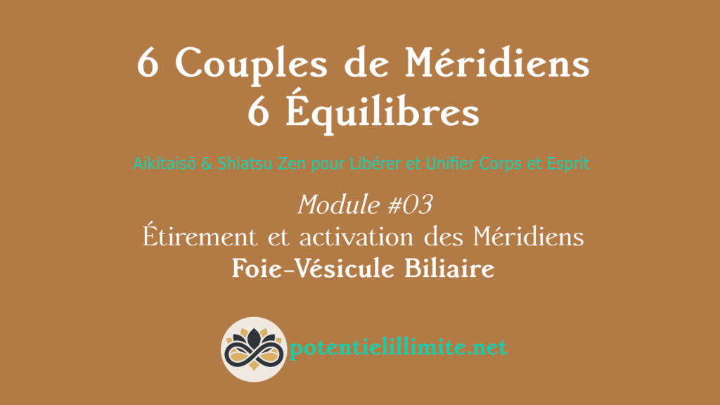 6 Couples de Méridiens, 6 Équilibres - Mod.03 - Aikitaisō & Shiatsu Zen pour Libérer Corps et Esprit - Programme de Formation L’Académie - potentielillimite.net