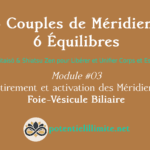 6 Couples de Méridiens, 6 Équilibres - Mod.03 - Aikitaisō & Shiatsu Zen pour Libérer Corps et Esprit - Programme de Formation L’Académie - potentielillimite.net