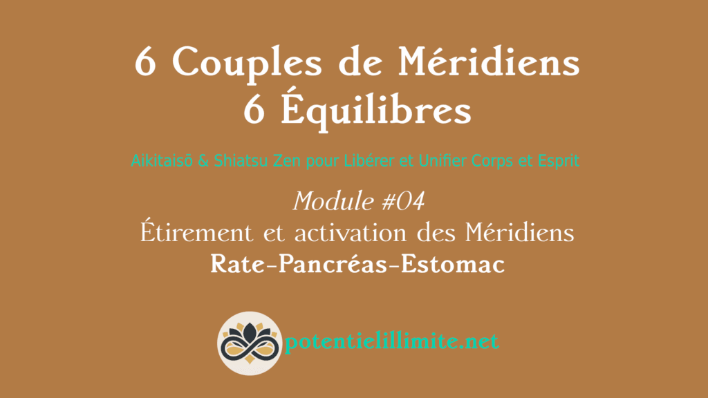 6 Couples de Méridiens, 6 Équilibres - Mod.04 - Aikitaisō & Shiatsu Zen pour Libérer Corps et Esprit - Programme de Formation L’Académie - potentielillimite.net