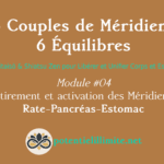 6 Couples de Méridiens, 6 Équilibres - Mod.04 - Aikitaisō & Shiatsu Zen pour Libérer Corps et Esprit - Programme de Formation L’Académie - potentielillimite.net