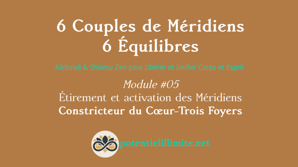 6 Couples de Méridiens, 6 Équilibres - Mod.05 - Aikitaisō & Shiatsu Zen pour Libérer Corps et Esprit - Programme de Formation L’Académie - potentielillimite.net
