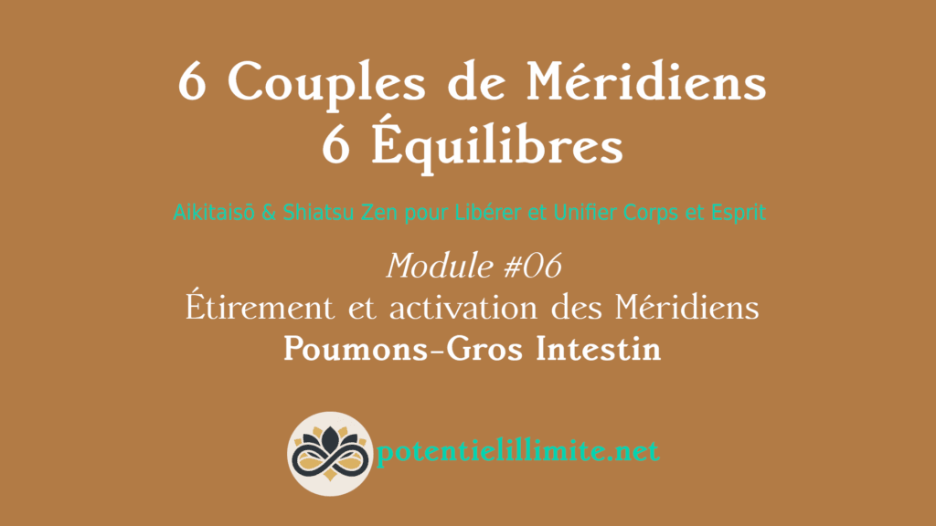 6 Couples de Méridiens, 6 Équilibres - Mod.06 - Aikitaisō & Shiatsu Zen pour Libérer Corps et Esprit - Programme de Formation L’Académie - potentielillimite.net