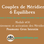6 Couples de Méridiens, 6 Équilibres - Mod.06 - Aikitaisō & Shiatsu Zen pour Libérer Corps et Esprit - Programme de Formation L’Académie - potentielillimite.net
