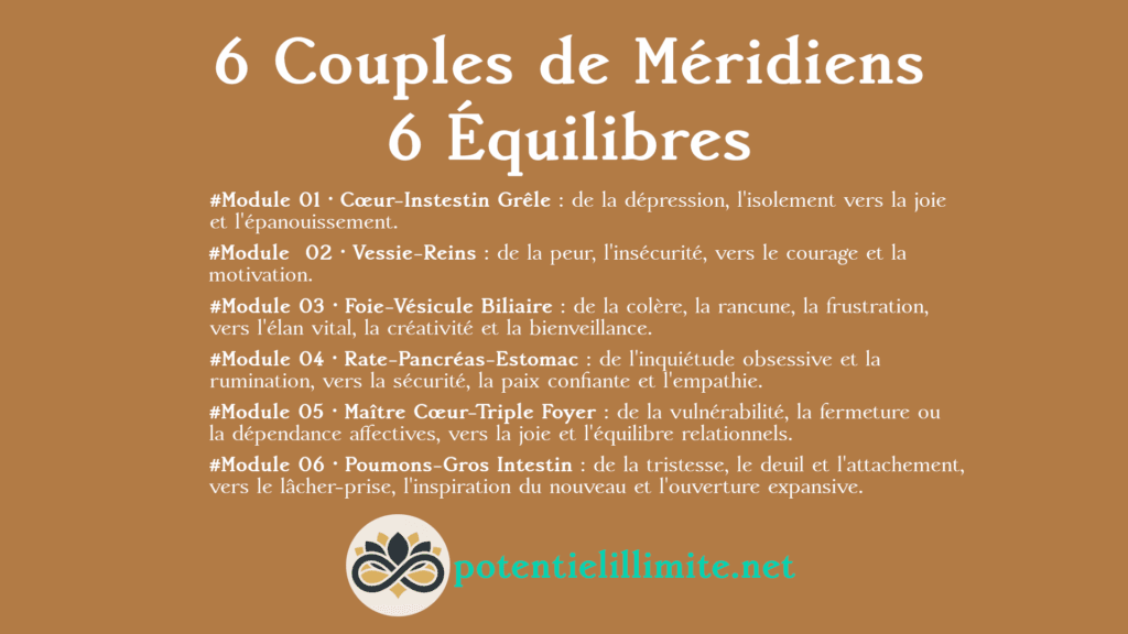6 Couples de Méridiens, 6 Équilibres - Thèmes des 6 Modules - Aikitaisō & Shiatsu Zen pour Libérer Corps et Esprit - Programme de Formation L’Académie - potentielillimite.net